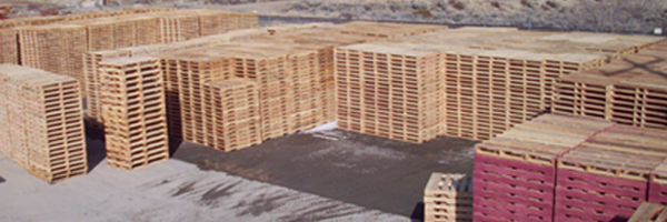 pallet yard