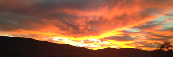 pallet delivery Reno and Northern Nevada